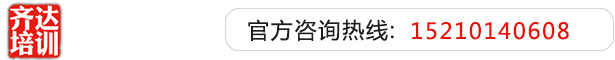 骚笔视频国产齐达艺考文化课-艺术生文化课,艺术类文化课,艺考生文化课logo